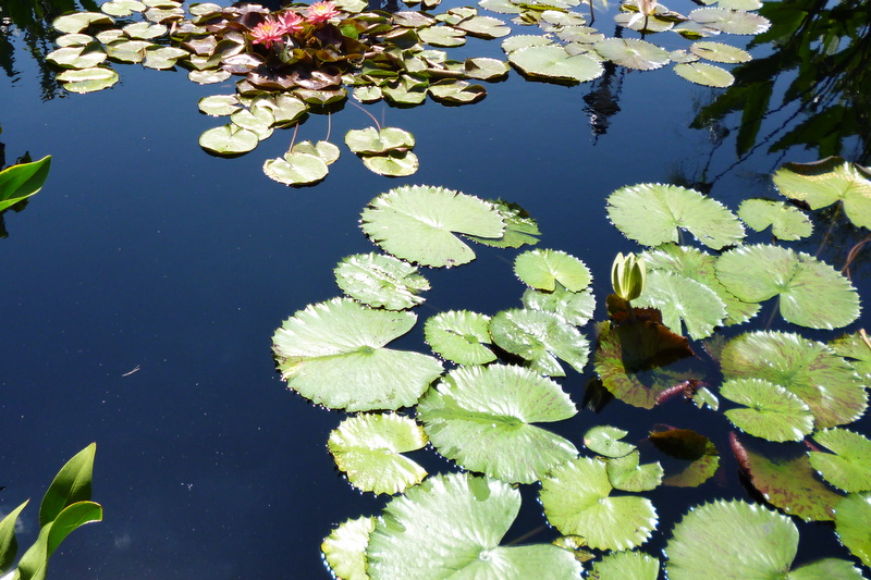 Botanical Gardens